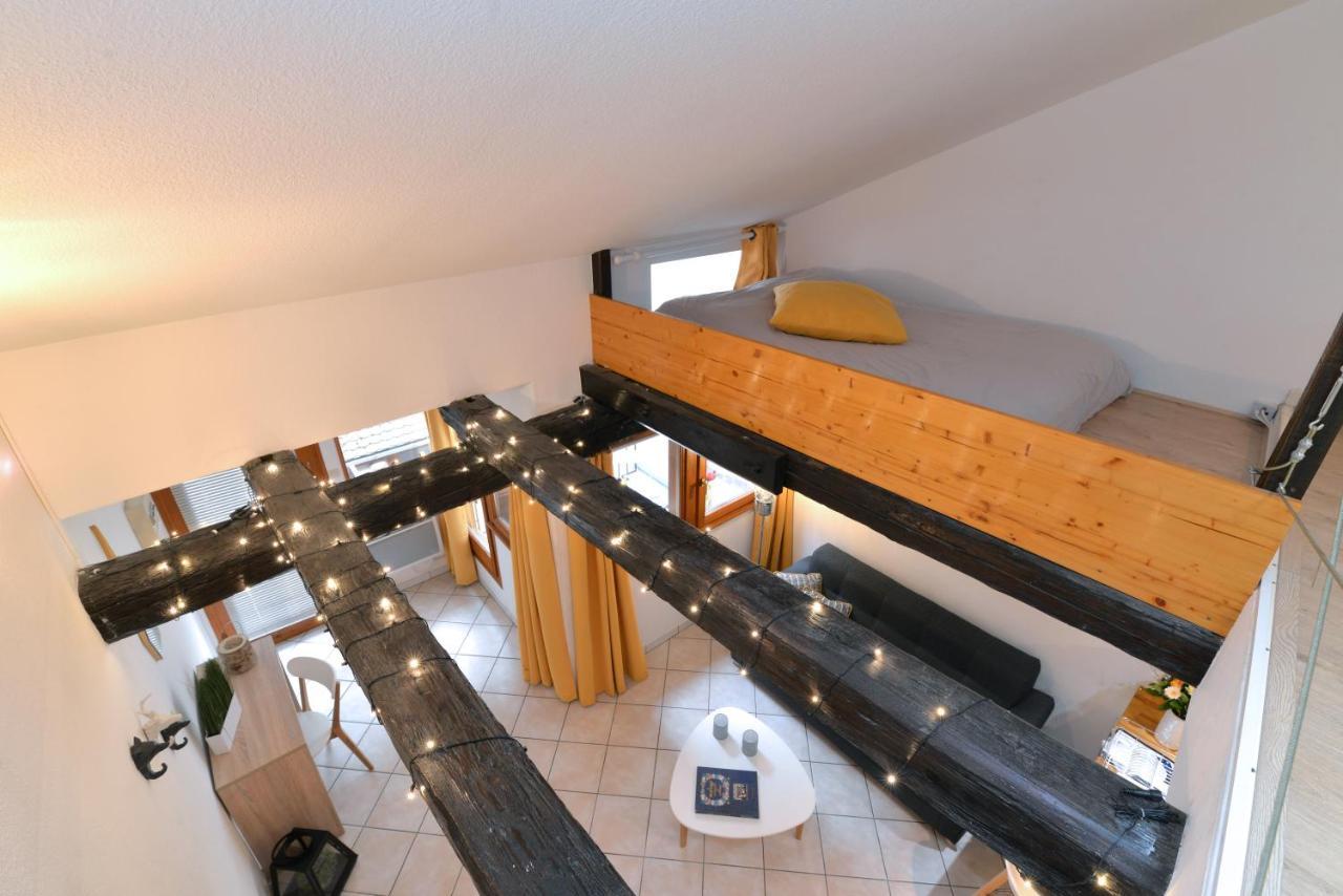 Appartement La Terrasse Sur Cour Colmar Luaran gambar