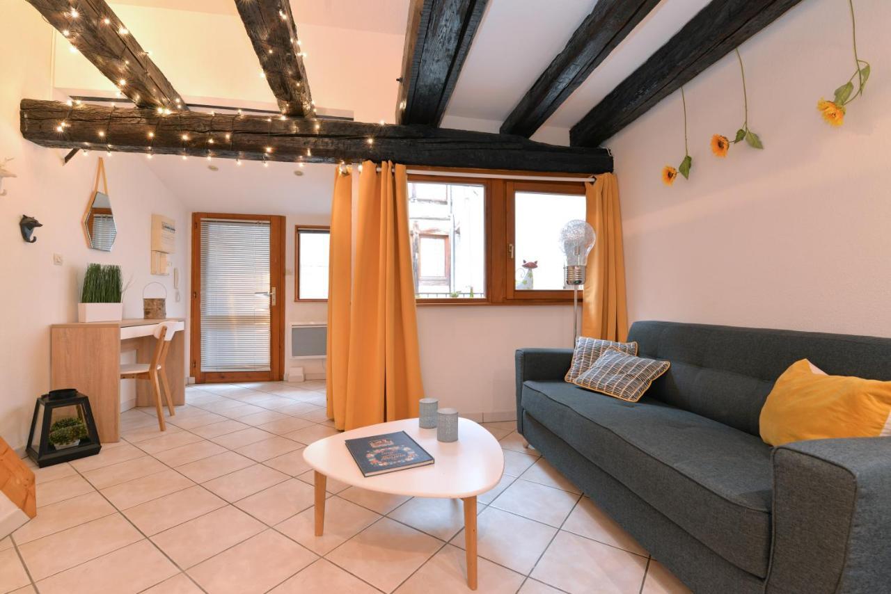 Appartement La Terrasse Sur Cour Colmar Luaran gambar
