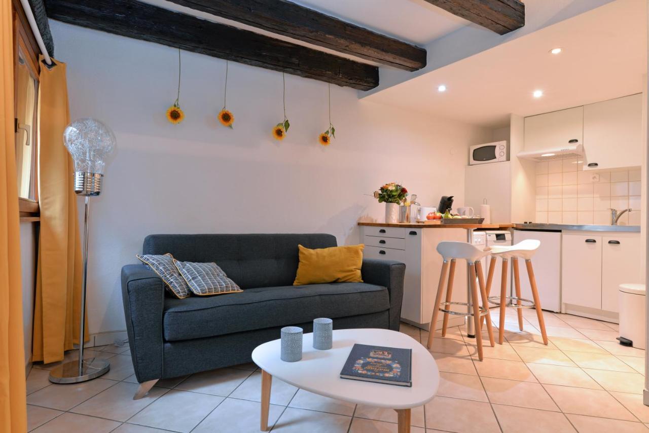 Appartement La Terrasse Sur Cour Colmar Luaran gambar